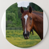 Horse Face-knop Ronde Button 6,0 Cm (Voorkant)