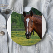 Horse Face-knop Ronde Button 6,0 Cm (In situ)