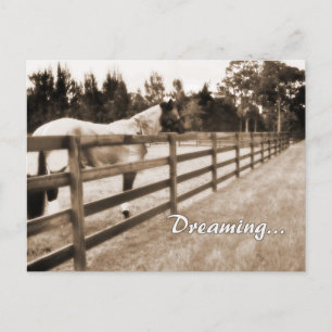 Horse fence misty blur droaming text sepia briefkaart