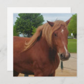 Horse Flat Card Cute Country Western Equine Note (Voorkant / Achterkant)