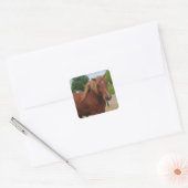 Horse Flat Card Cute Country Western Equine Note Vierkante Sticker (Envelop)