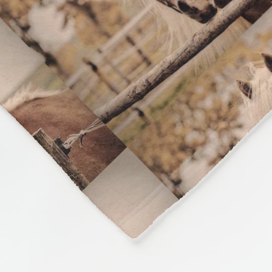 HORSE FLEECE BLANKET. (Hoek)