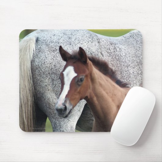 Horse Foal Art Mousepad Muismat (Met muis)