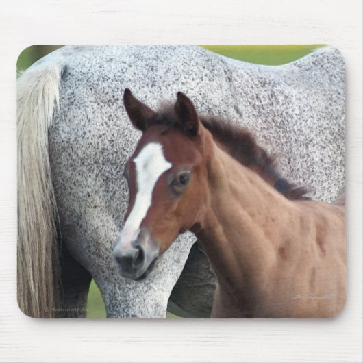 Horse Foal Art Mousepad Muismat (Voorkant)