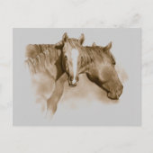 HORSE, FOAL: SEPIA: PENCIL BRIEFKAART (Voorkant)