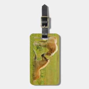 Horse Foals Bagagelabel