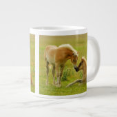 Horse Foals Grote Koffiekop (Voorkant rechts)