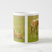 Horse Foals Grote Koffiekop (Voorkant)