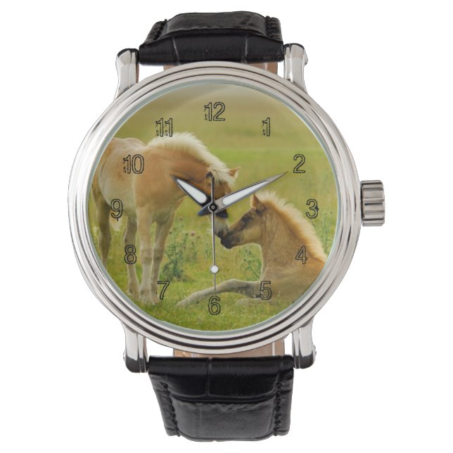 Horse Foals Horloge (Voorkant)