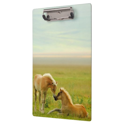 Horse Foals Klembord (Links)