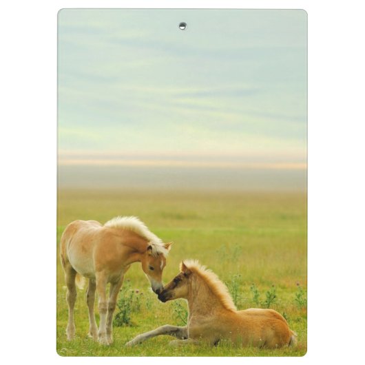 Horse Foals Klembord (Achterkant)