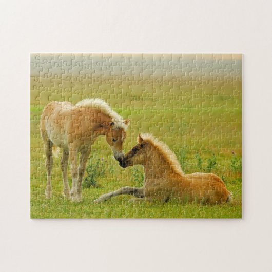 Horse Foals Legpuzzel (Horizontaal)