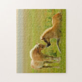 Horse Foals Legpuzzel (Verticaal)