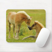 Horse Foals Muismat (Met muis)