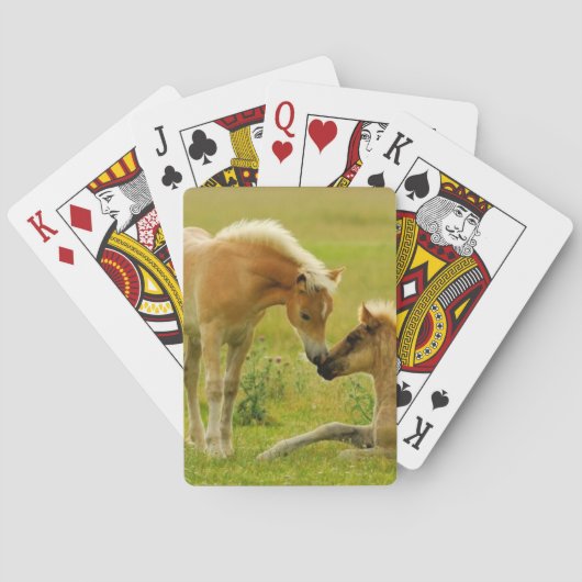 Horse Foals Pokerkaarten (Achterkant)