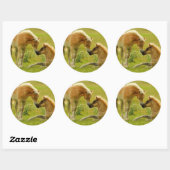 Horse Foals Ronde Sticker (Vel)
