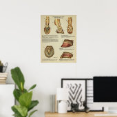 Horse Foot Hoof Anatomary Chart Poster (Thuiskantoor)