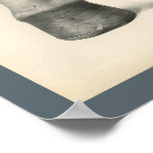 Horse Foot Hoof Veterinary Anatomy Print (Hoek)