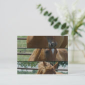 Horse Fun Briefkaart (Staand voorkant)