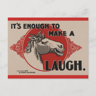 Horse Funny Post Card Briefkaart
