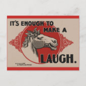 Horse Funny Post Card Briefkaart (Voorkant)