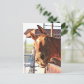Horse gezegde hi-kaart briefkaart (Staand voorkant)