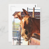 Horse gezegde hi-kaart briefkaart (Voorkant / Achterkant)