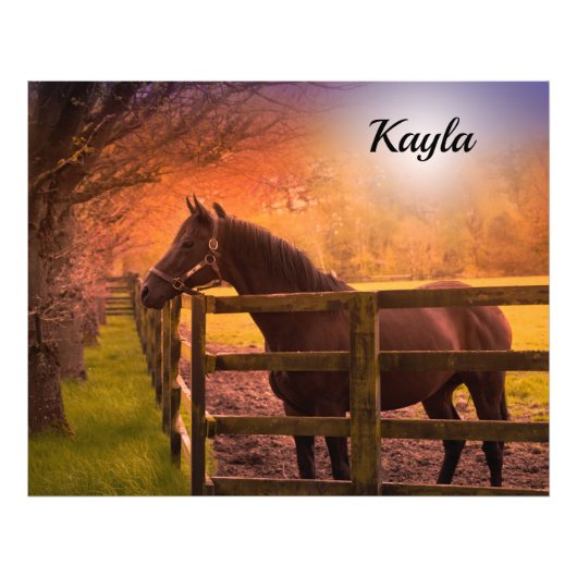 Horse Girl Foto Afdruk (Voorkant)