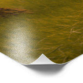 Horse Girl Foto Afdruk (Hoek)