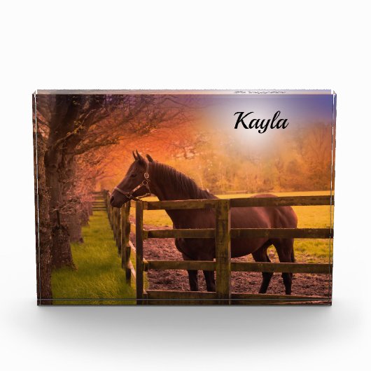 Horse Girl Fotoblokken (Voorkant)