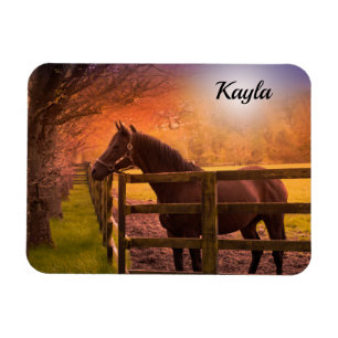 Horse Girl Magneet