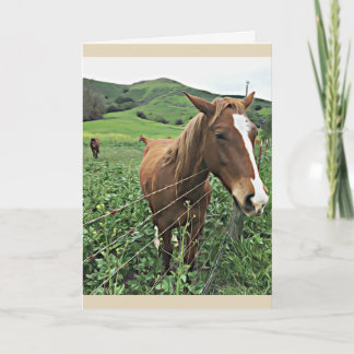Horse Greeting Card Kaart