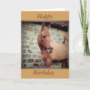 Horse Greetings Kaart