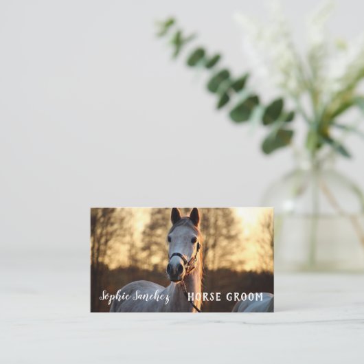 Horse Groom Photo Professional Visitekaartje (Staand voorkant)