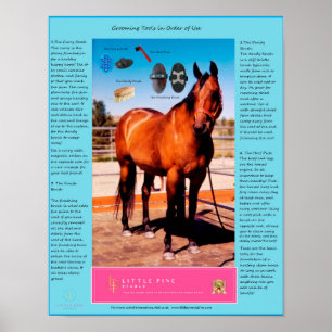 Horse Grooming Tools en hoe deze te gebruiken Poster