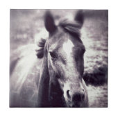 Horse Grunge Tegeltje (Voorkant)