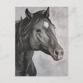 Horse Hand Drawn Art Briefkaart
