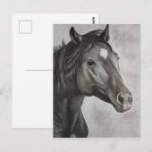 Horse Hand Drawn Art Briefkaart (Voorkant / Achterkant)