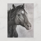 Horse Hand Drawn Art Briefkaart (Voorkant)