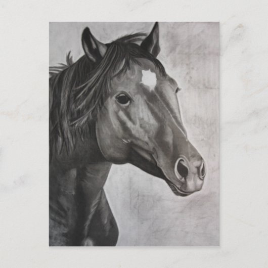Horse Hand Drawn Art Briefkaart (Voorkant)