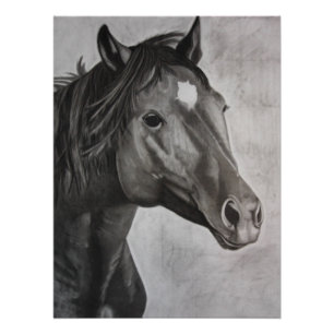 Horse Hand Drawn Art Perfect Poster