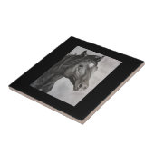 Horse Hand Drawn Art Tegeltje (Zijkant)