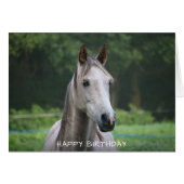Horse Happy Birthday Card (Voorkant Horizontaal)