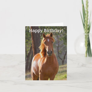 Horse Happy Birthday Kaart voor paardenliefhebbers