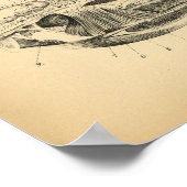 Horse Head Jaw Anatomy 1908  Print (Hoek)