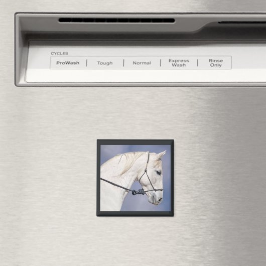 Horse Head Magnet (Insitu (Vaatwasser))
