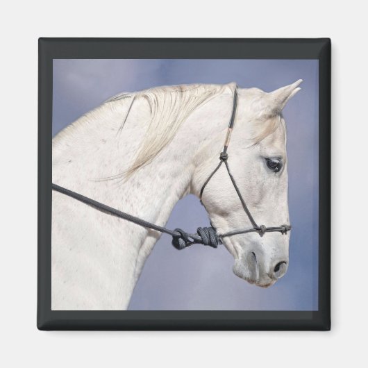Horse Head Magnet (Voorkant)