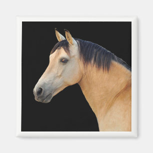 Horse Head Magnet