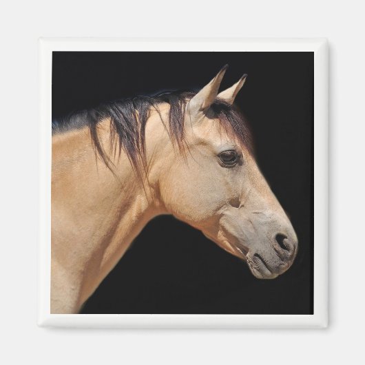 Horse Head Magnet (Voorkant)