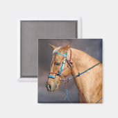 Horse Head Magnet (Voorkant / Achterkant)